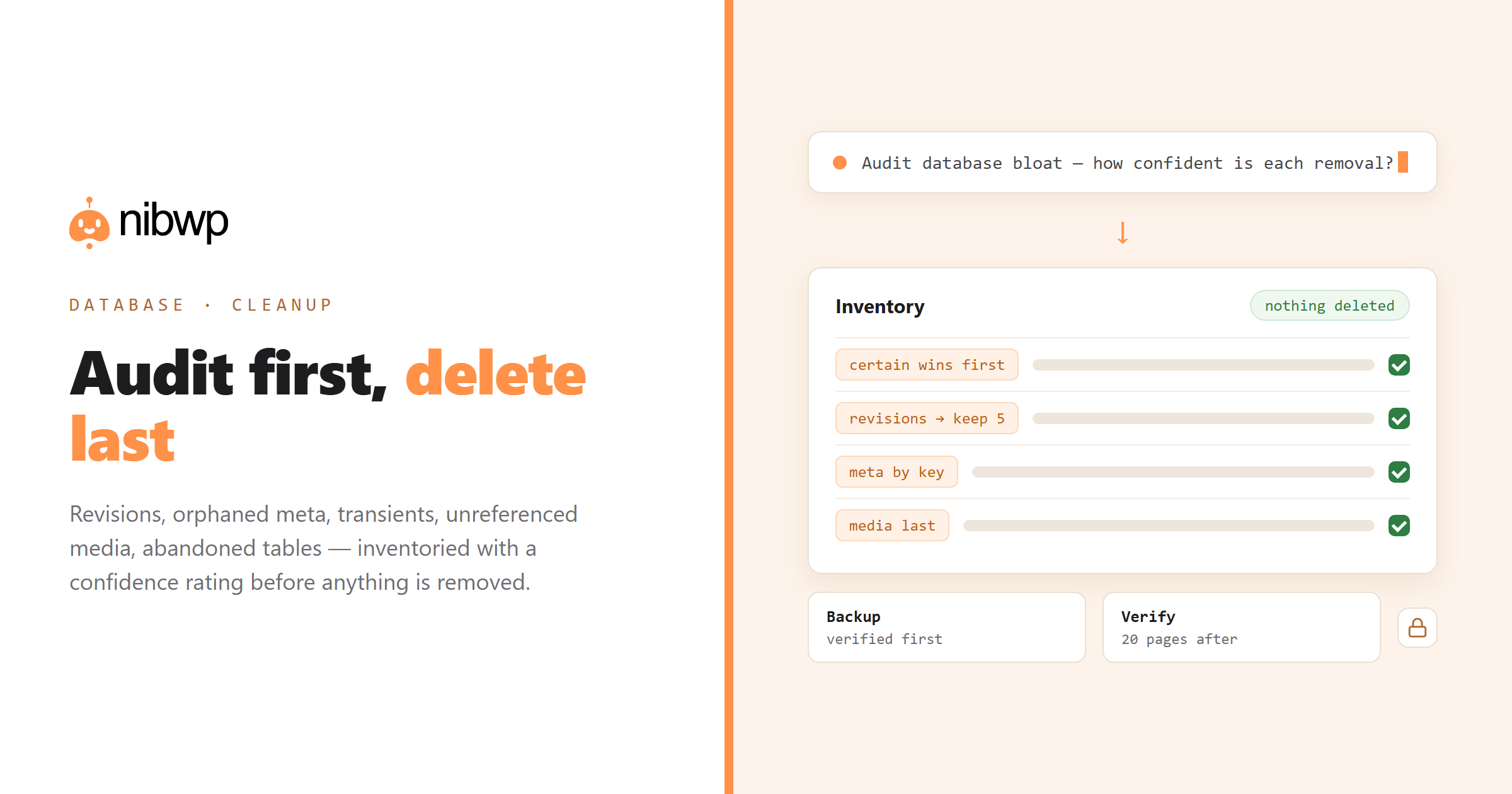 Clean up a WordPress database with AI: revisions, orphans, spam